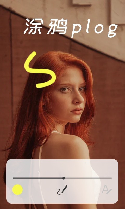 voila相机中文版