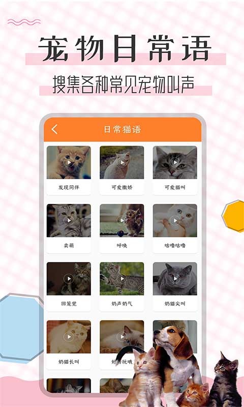猫语翻译宝手机版下载 猫语翻译宝下载