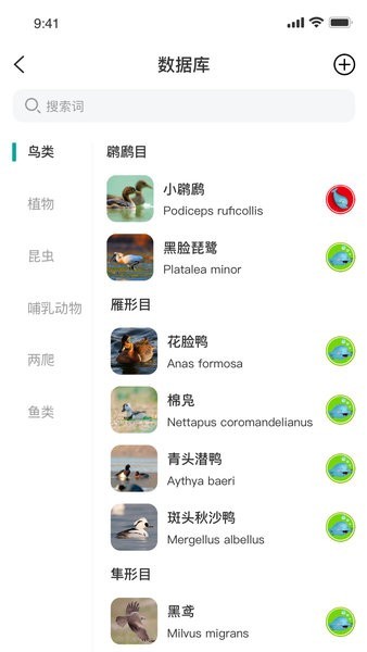 南通生物脸谱手机app 南通生物脸谱app
