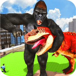 金刚向前冲游戏