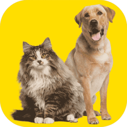 人猫人狗交流器app