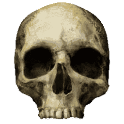 铁锈战争mod生化狂潮5:终末