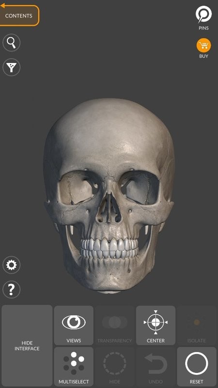 artanatomy安卓版(艺术家之3D解剖图) art anatomy软件