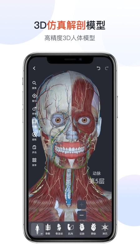 口袋人体解剖app下载