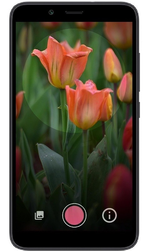 万物识别软件 万物识别app