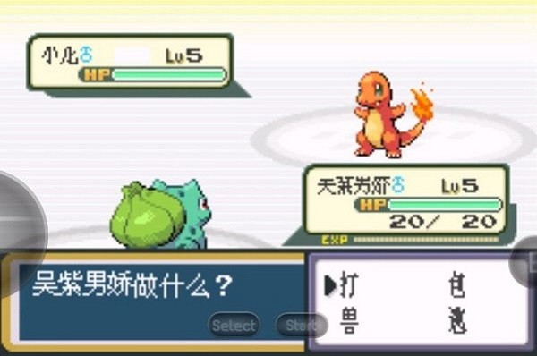 口袋妖怪暗之冰花2014游戏 口袋妖怪暗之冰花2014