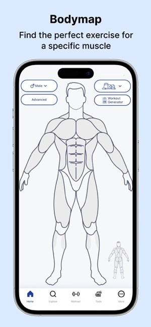 musclewiki musclewiki app下载