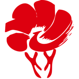 新乡市放新办app最新版本