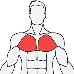 mu-sclewiki安卓APP