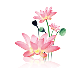 水墨工具箱安卓