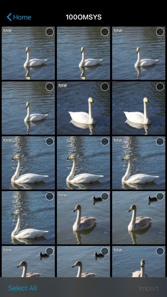 OM Image Share下载