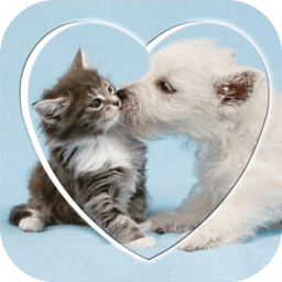 猫语狗语交流器手机版