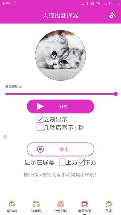 人猫语翻译器app 人猫语翻译器手机版