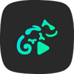 Stellio Music Player