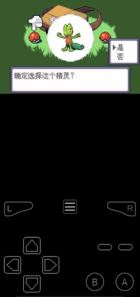 口袋妖怪罪恶的世界汉化版 口袋妖怪罪恶的世界特别版