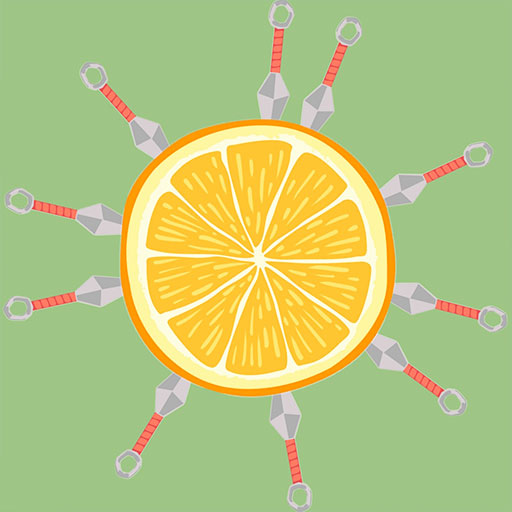 萌果消消消游戏