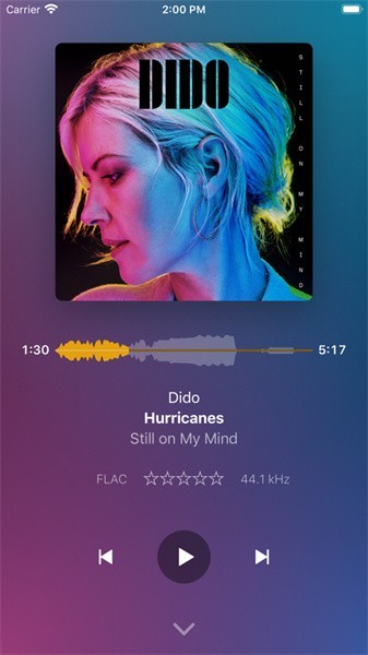 Plexamp安卓版 Plexamp app