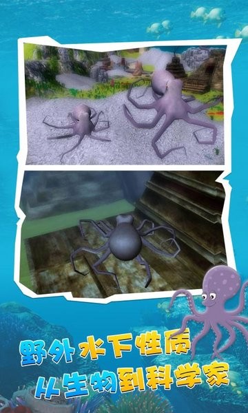 变异八爪鱼游戏 变异八爪鱼正版