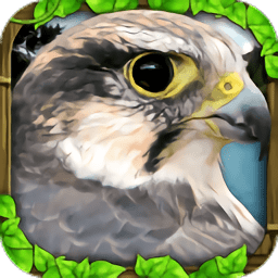 终极猎鹰模拟器最新版