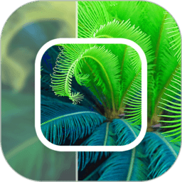 模糊照片修复软件