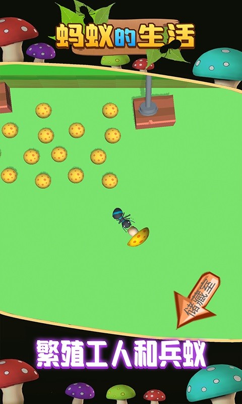 蚂蚁的生活下载