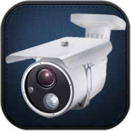 大众电子眼手机版