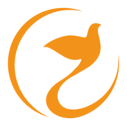 喜鹊喜报pro安卓手机