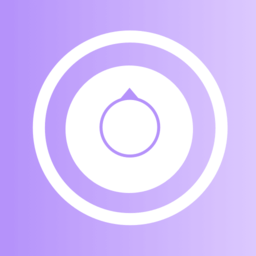 决定器大转盘手机版