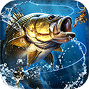 天天爱钓鱼单机版