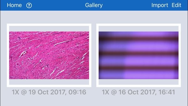 moticnet4.0 moticnet安卓手机
