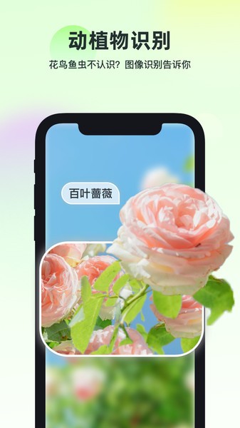 智能识万物免费 智能识万物app