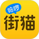 哈啰街猫
