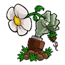 植物大战僵尸bt拓展版
