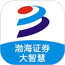 渤海证券大智慧官方版