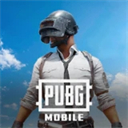 PUBG国际服手游(幽灵奇妙夜)