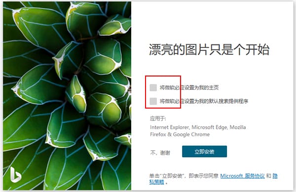 bingwallpaper官方下载