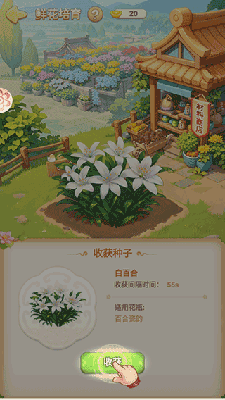 我的花园世界手游 我的花园世界手游