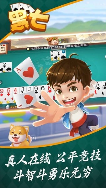 信阳黑七官方下载最新版本 信阳黑七免费版安装