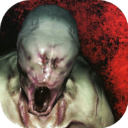 标本零2026最新版