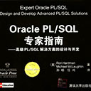 Oracle PL/SQL专家指南:高级PL/SQL解决方案的设计与开发 哈德门pdf扫描版