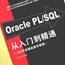 oracle pl/sql从入门到精通 丁士锋pdf扫描版