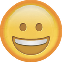 乐影音下载器 v11.3