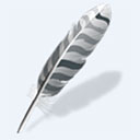 wing pro 11官方版 v11.0.6.0