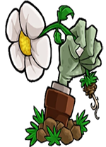 植物大战僵尸转基因版电脑版 v2.2.6