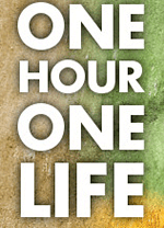 一小时人生电脑版 Steam正版分流