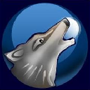 sDVR播放器(摄像头播放软件) v3.5