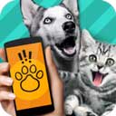 Pet Translator电脑版 v1.1「含模拟器」