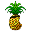 红雪越狱工具中文版 v0.9.15b3