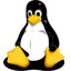 tiny core linux官方版 v16.2