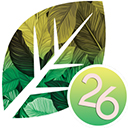 heredis2026家谱制作软件 v26.2